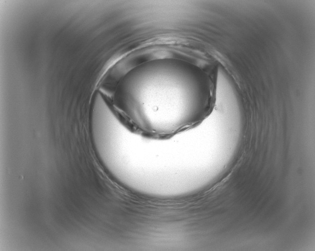 X0000066021465200603171519