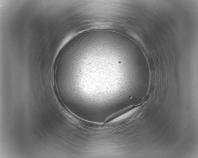 X0000066021467200603171519