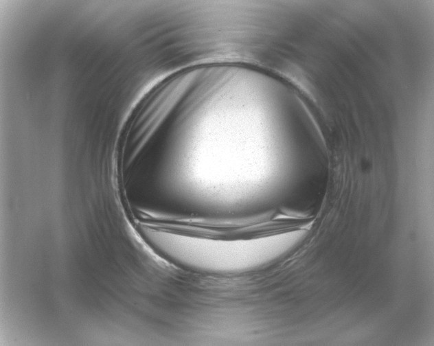 X0000066021468200603171519