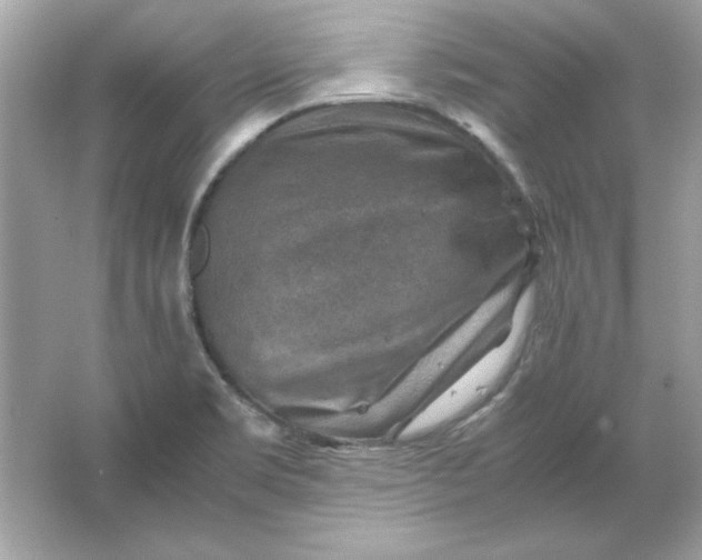 X0000066021469200603171519