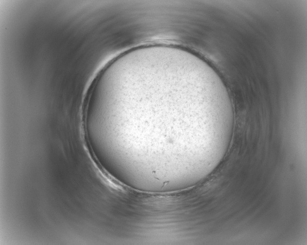 X0000066021470200603171519