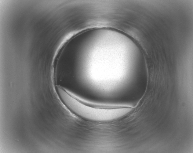 X0000066021472200603171519