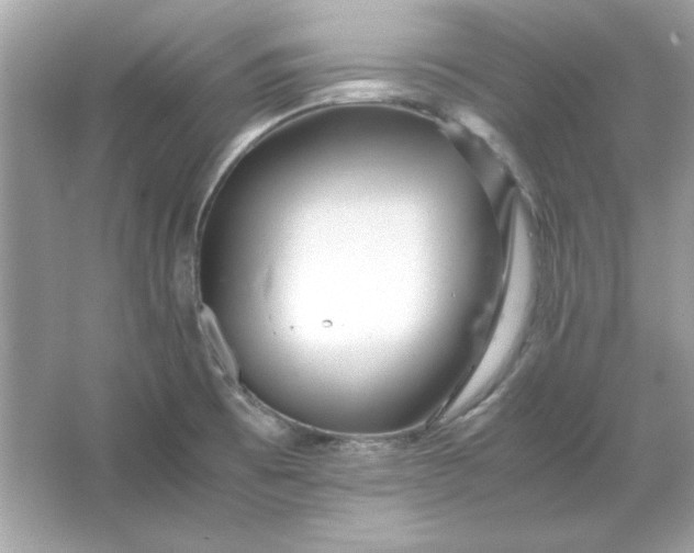 X0000066021473200603171519