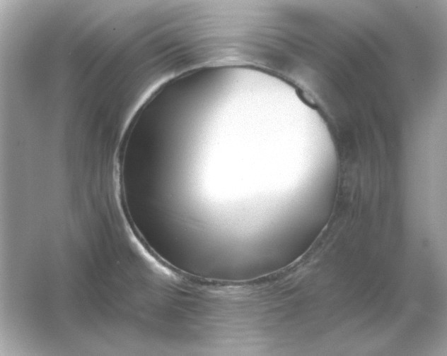 X0000066021476200603171519