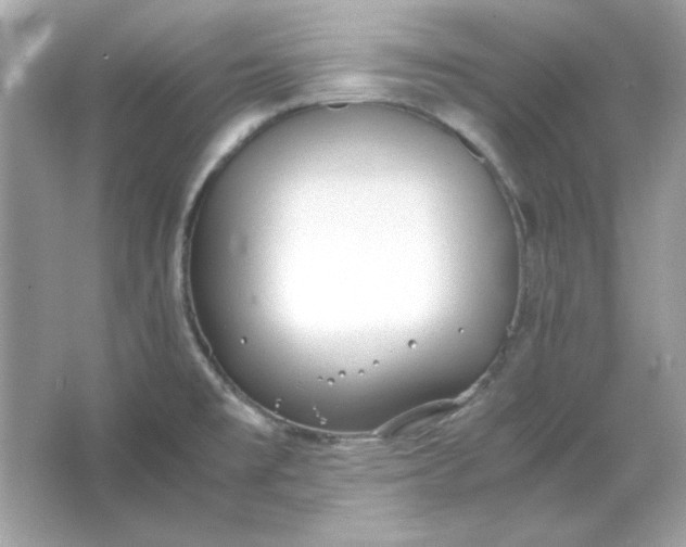 X0000066021477200603171519