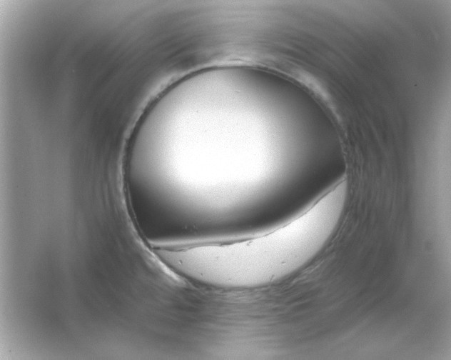 X0000066021480200603171519