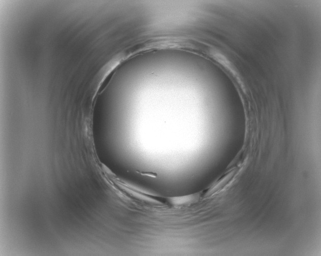 X0000066021481200603171519