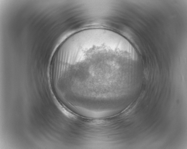 X0000066021482200603171519