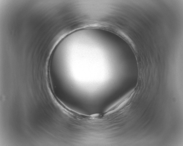 X0000066021483200603171519