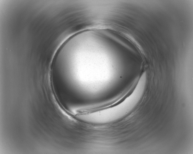 X0000066021484200603171519