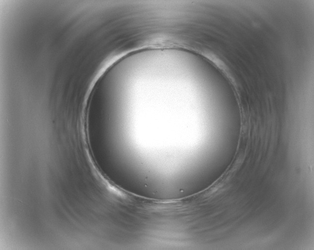 X0000066021486200603171519