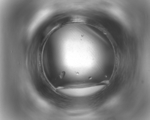 X0000066021487200603171519