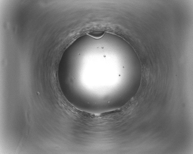 X0000066021489200603171518