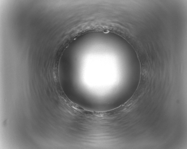 X0000066021490200603171518