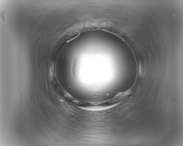 X0000066021492200603171518