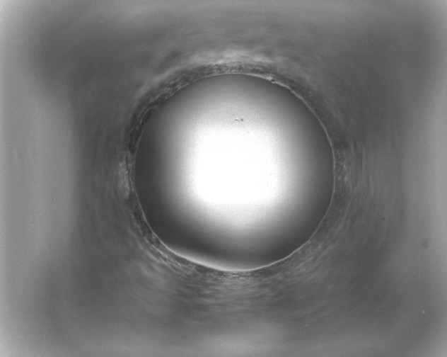 X0000066021493200603171518