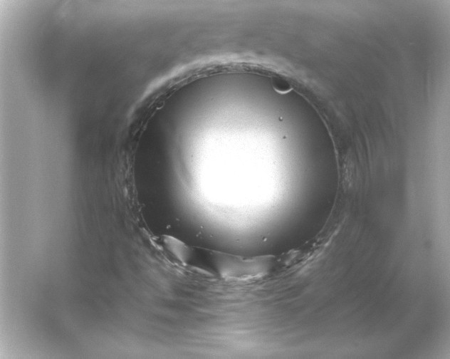 X0000066021494200603171518