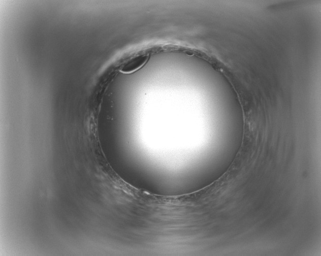 X0000066021495200603171518