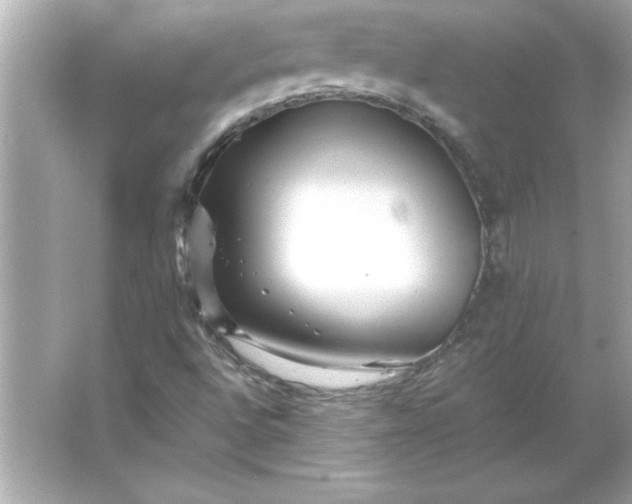 X0000066021496200603171518