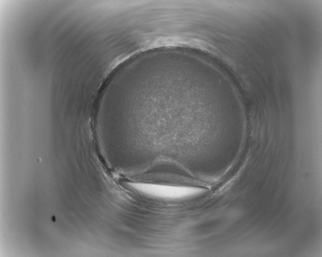 X0000066021497200603171518