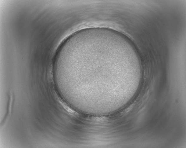 X0000066021498200603171518