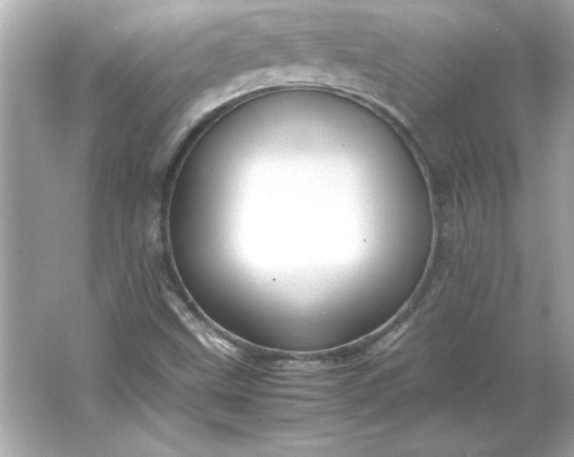 X0000066021499200603171518