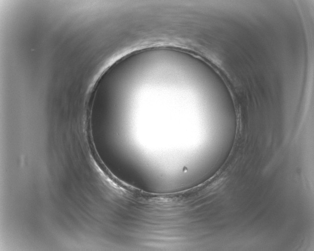 X0000066021500200603171518