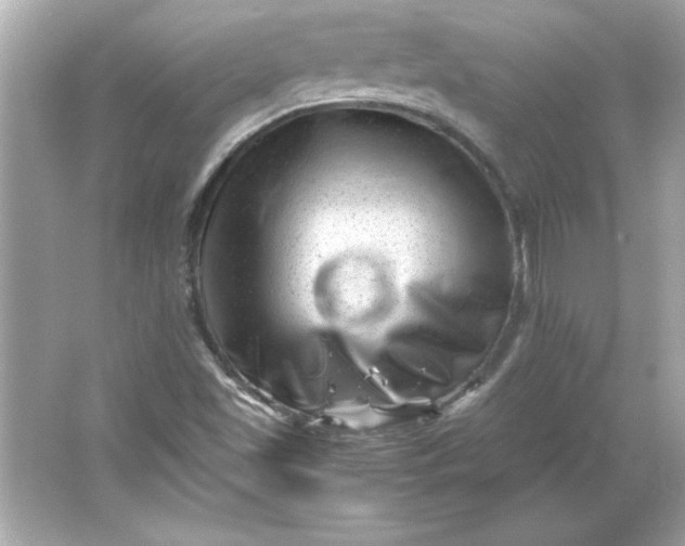 X0000066021501200603171518