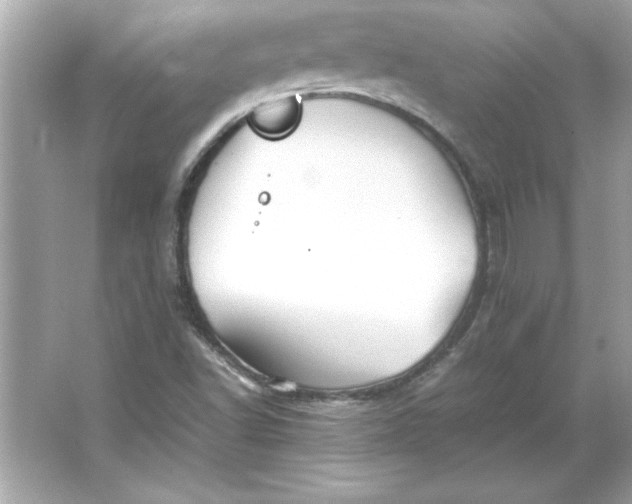 X0000066021502200603171518