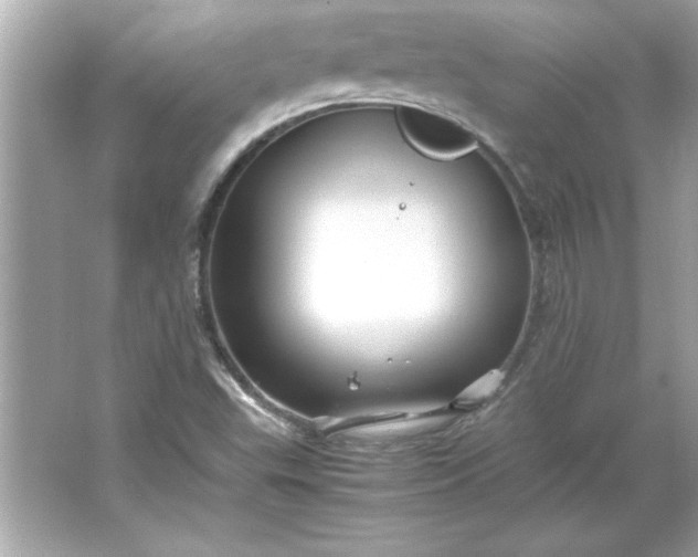 X0000066021503200603171518