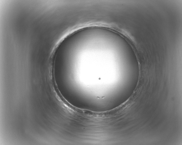 X0000066021504200603171518