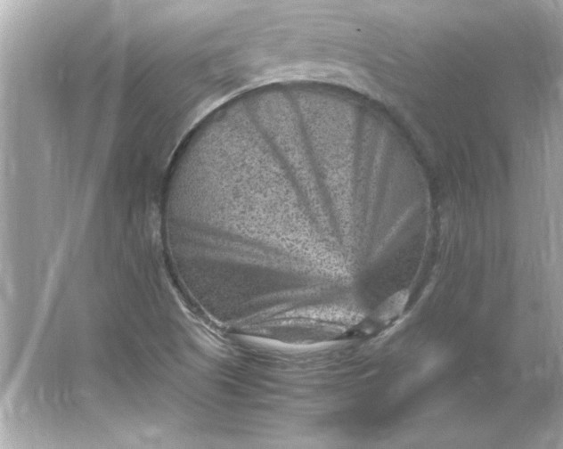 X0000066021505200603171518