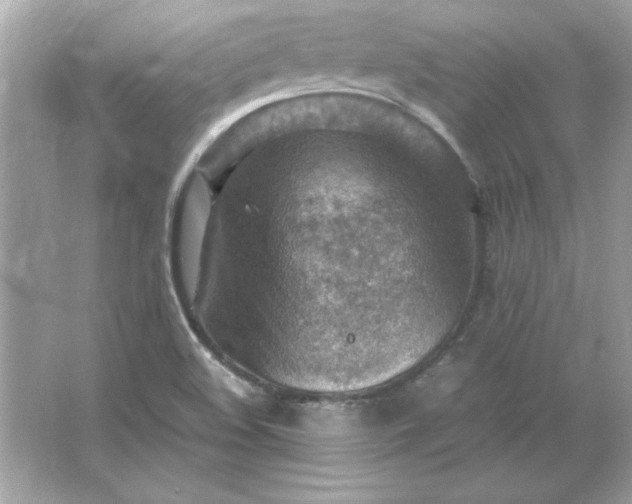 X0000066021508200603171518