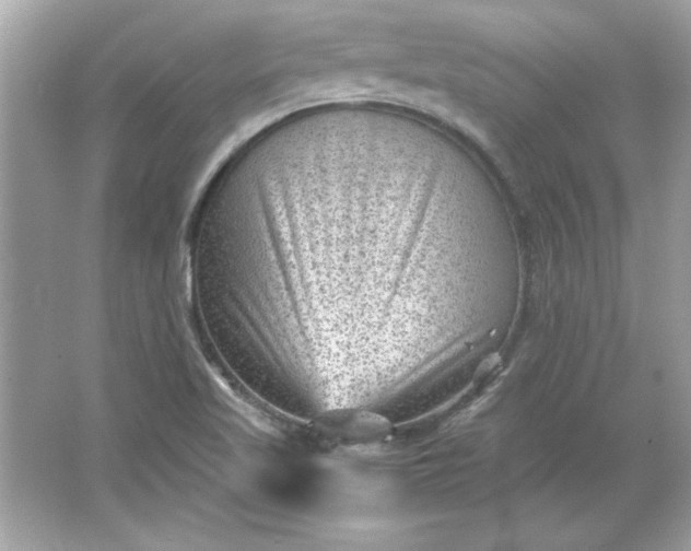 X0000066021509200603171518