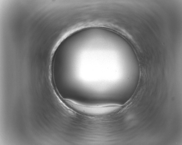 X0000066021512200603171518