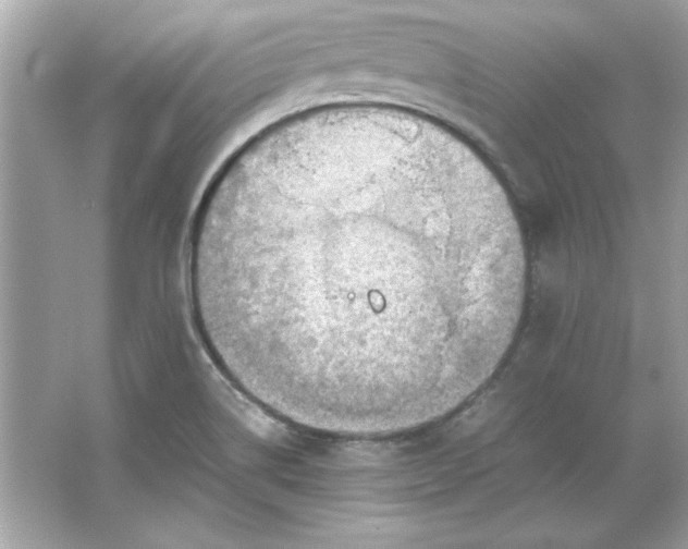 X0000066021514200603171518