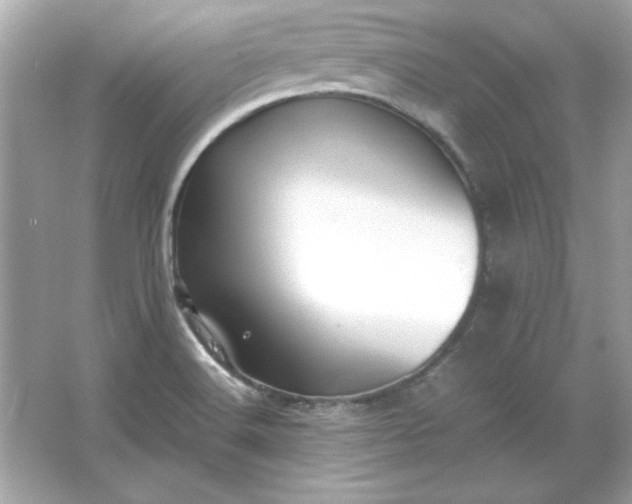 X0000066021516200603171518