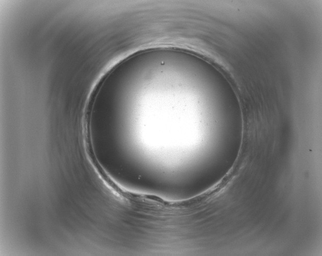 X0000066021517200603171518