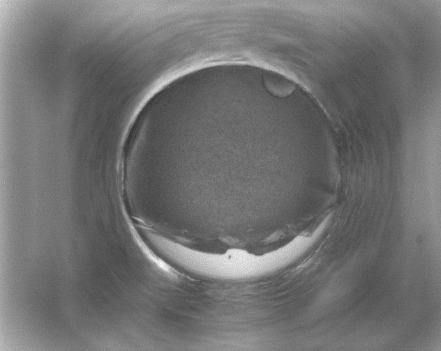 X0000066021519200603171518