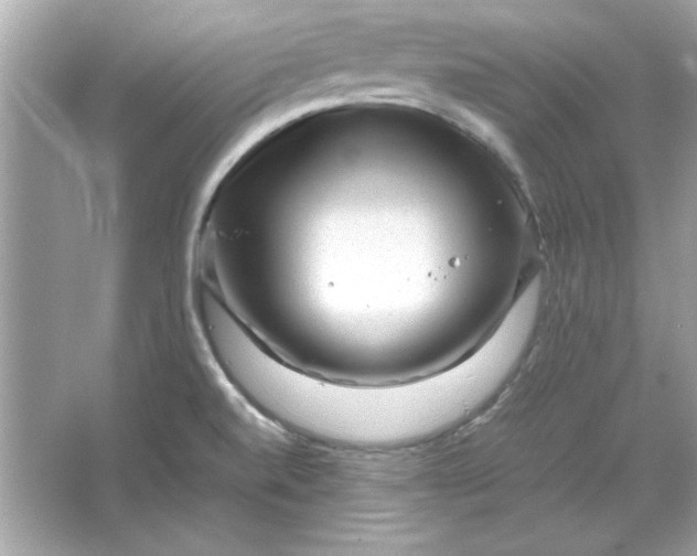 X0000066021520200603171518