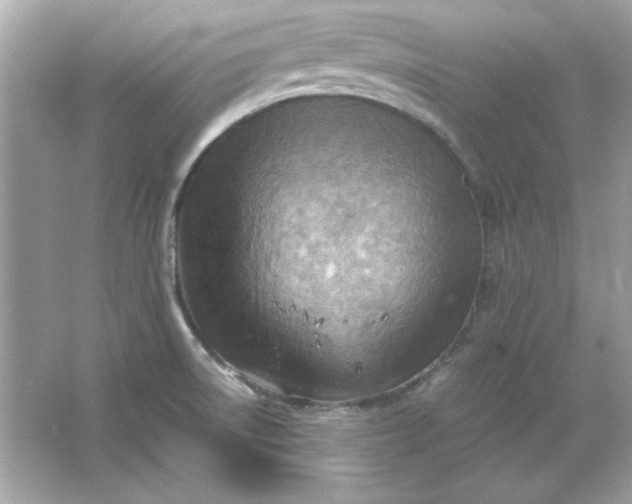 X0000066021522200603171518