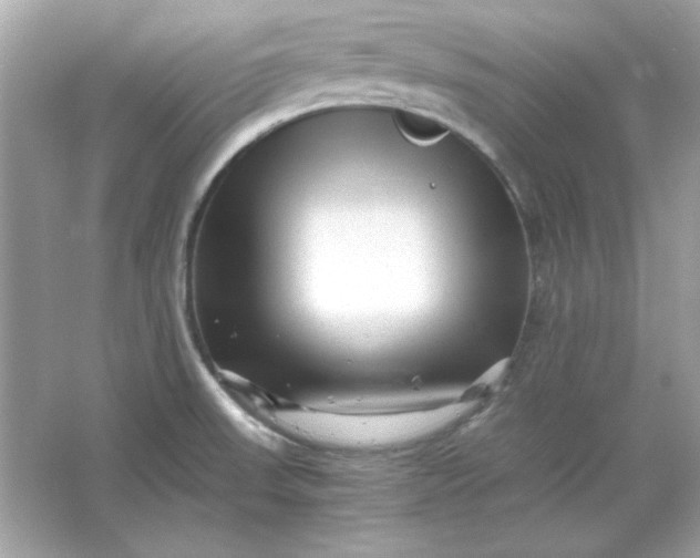 X0000066021523200603171518