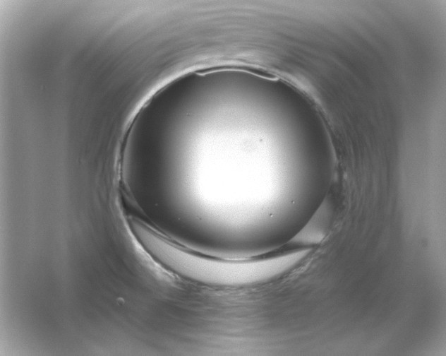 X0000066021524200603171518