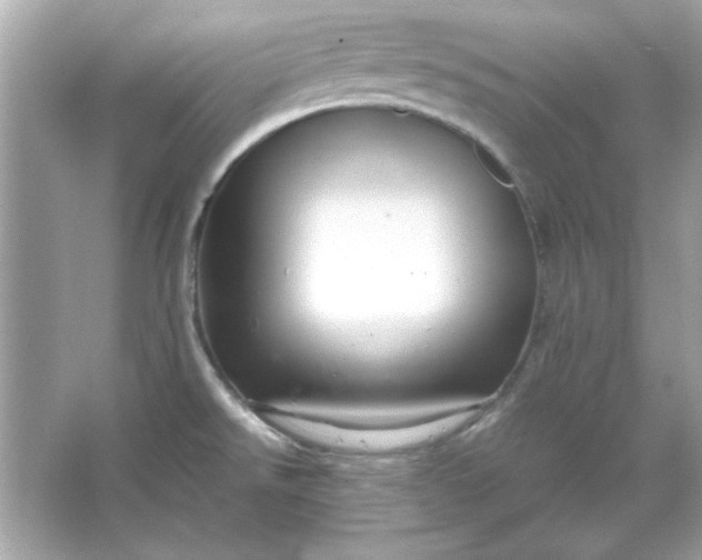 X0000066021526200603171518