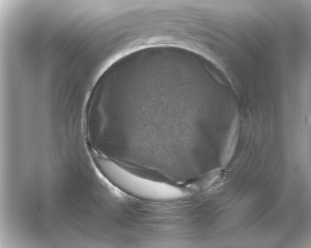 X0000066021527200603171518