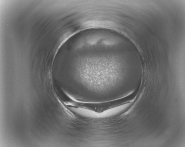 X0000066021529200603171519