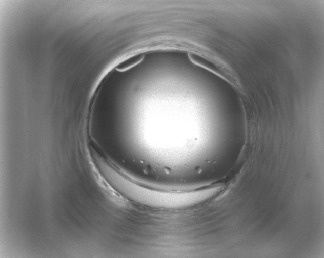 X0000066021530200603171519