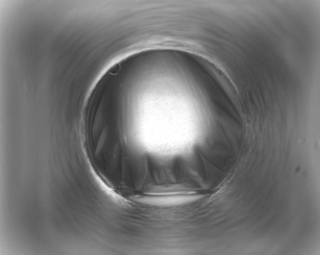 X0000066021531200603171519