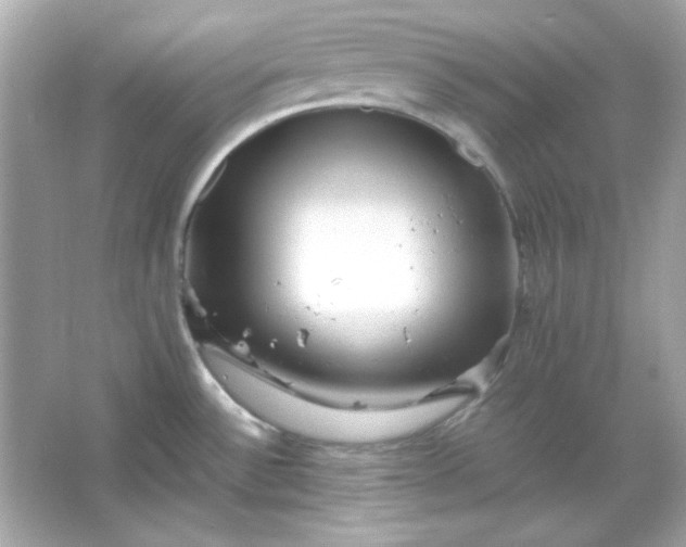 X0000066021532200603171519