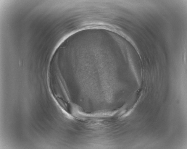 X0000066021533200603171519